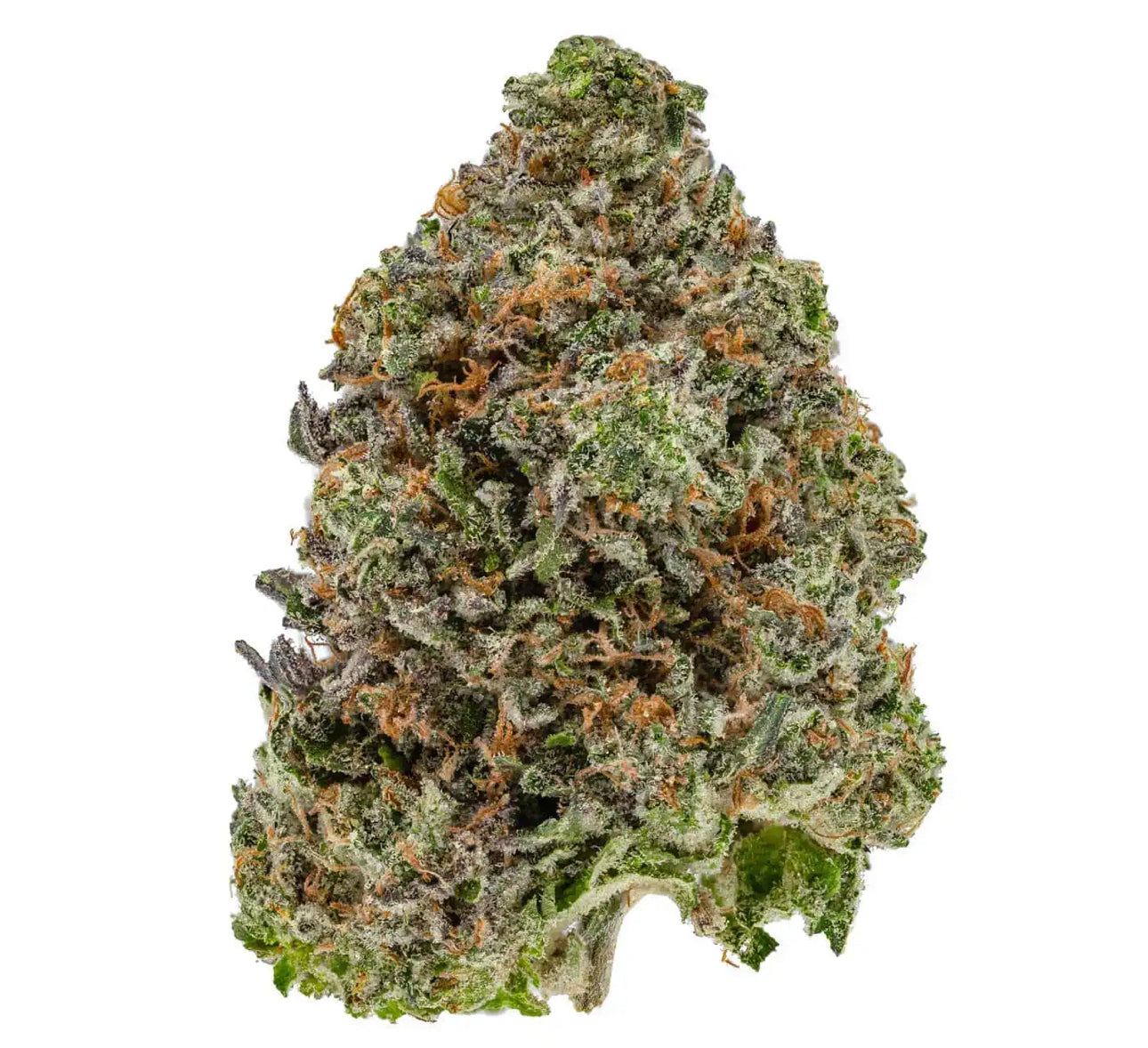 Skywalker OG 👽